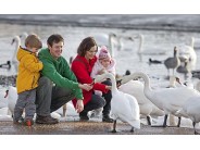 Slimbridge Wetland Centre